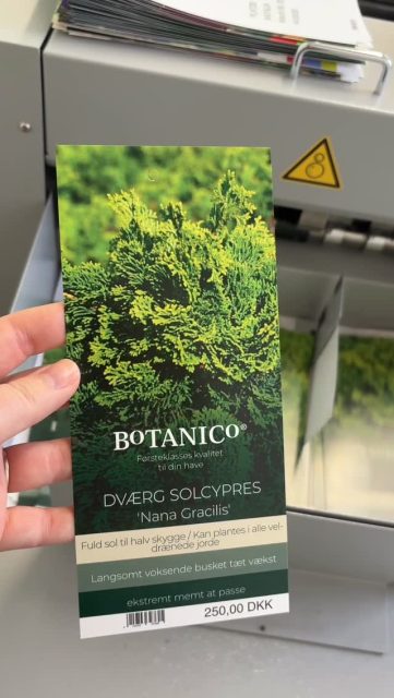 Individuelle Etiketten für jede Pflanze und jeden Kunden – direkt bei uns gedruckt! ✔️
Mit eurem Kundenlogo, Sprachen nach Wahl, Preisauszeichnung und EAN‑Code, genau so, wie ihr es braucht.
So bekommt euer Gartencenter einen einheitlichen Markenauftritt, der verkauft.
🎥 Im Video zeigen wir euch, wie unser Etikettendruck funktioniert und wie flexibel wir jedes Etikett gestalten können.
Und das Beste?
Wir gehörten zu den Ersten in der Branche, die diesen Weg gegangen sind – und damit haben wir die Etikettierung im Gartenbau nachhaltig verändert.
Denn: Ein starkes Etikett verkauft die Pflanze.