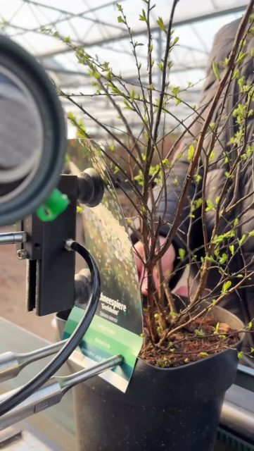 Effizienter arbeiten: Einige unserer Etiketten werden jetzt maschinell an die Töpfe angebracht. Schnell, präzise, gleichmäßig. 💪🏼