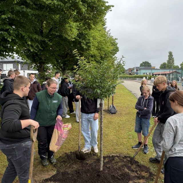 Gemeinsam Zukunft pflanzen! 🌳
Auch in diesem Jahr durften wir wieder unsere alljährliche Jahrgangsbaum-Pflanzaktion an der Oberschule Edewecht durchführen. Gepflanzt wurde diesmal eine wunderschöne Kurilenkirsche. 🌸
Wir freuen uns sehr, diese tolle Kooperation bereits seit mehreren Jahren erfolgreich umzusetzen, und blicken schon jetzt mit Vorfreude auf das nächste Mal.
Ein großes Dankeschön an unser Team sowie an alle motivierten Schülerinnen und Schüler für ihren Einsatz! 👏💚
#OberschuleEdewecht #Nachhaltigkeit #blühmitunsauf