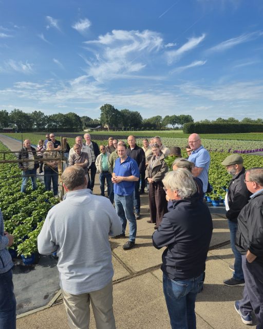 Besuch auf der Hortensienreise! 🌸🚜

Heute hatten wir die Ehre, eine internationale Gruppe von Hortensienzüchtern bei uns zu begrüßen. Im Rahmen ihrer Hortensienreise haben uns Kolleginnen und Kollegen aus ganz Europa und darüber hinaus besucht, um sich unsere Produktion anzuschauen.
Gemeinsam ging es mit Trecker und Wagen durch unsere Flächen bis hin zur Versandhalle, wo wir unsere Abläufe erklärt und Einblicke in unsere Arbeit gegeben haben.
Zum krönenden Abschluss haben wir zusammen gegrillt – ein perfekter Rahmen für guten Smalltalk, leckeres Essen und wertvollen Austausch unter Fachkollegen! 🌭🥩
Schön, dass ihr bei uns wart! 🙌